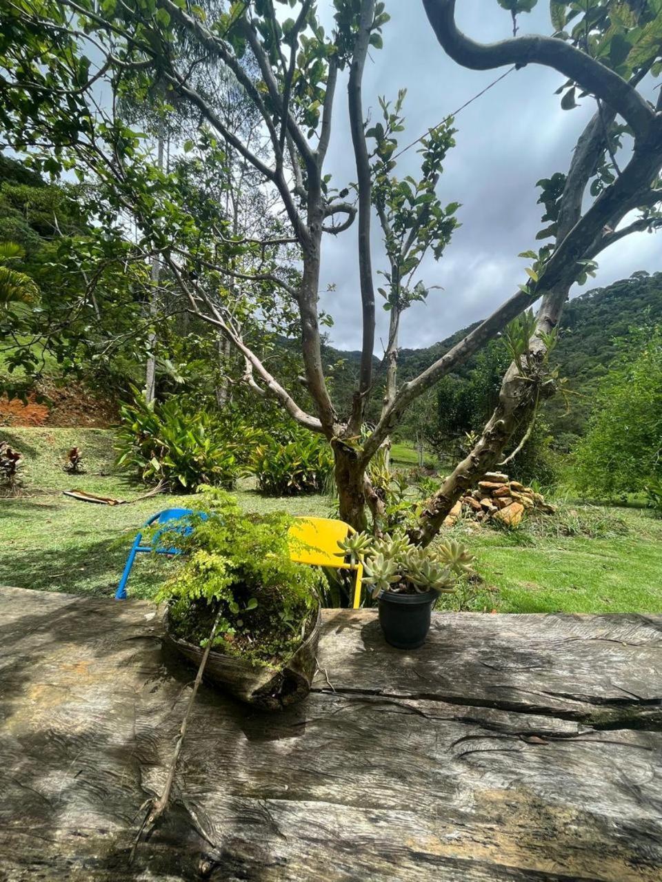 Vale Quaresmeiras *