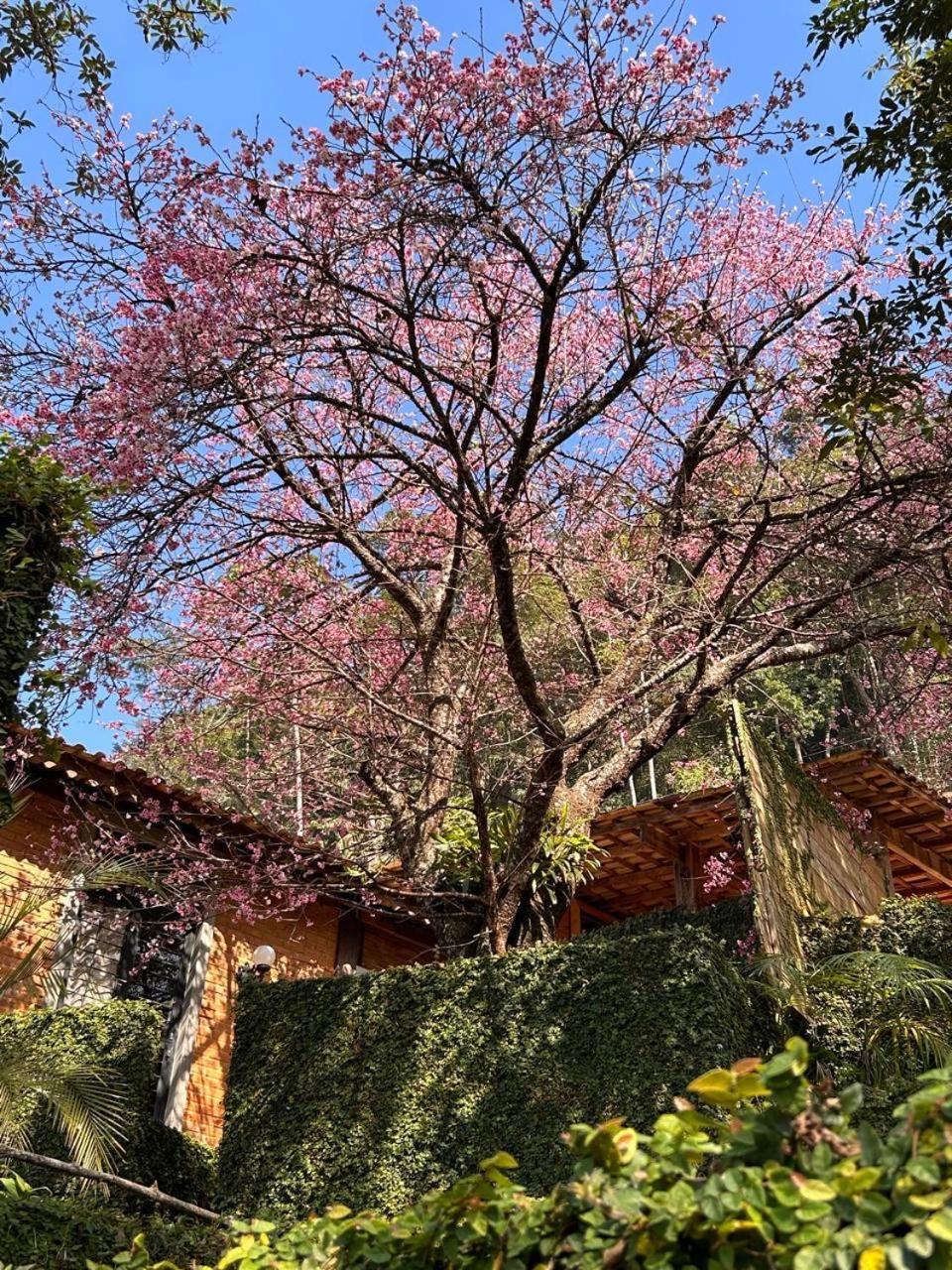 Chalet Vale Quaresmeiras Pedra Menina